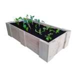 RAISED VEGETABLE PLANTING BED (1200L x 600W x 300H)