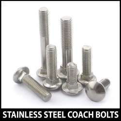Stainless Steel Coach Bolts - Medium
