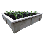 RAISED VEGETABLE PLANTING BED (1500L x 1500W x 330H)